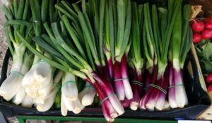 ogrody zimowe całoroczne