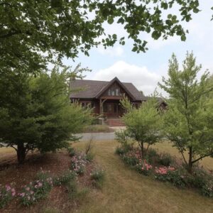 Czy muszę tolerować gałęzie sąsiada na mojej posesji